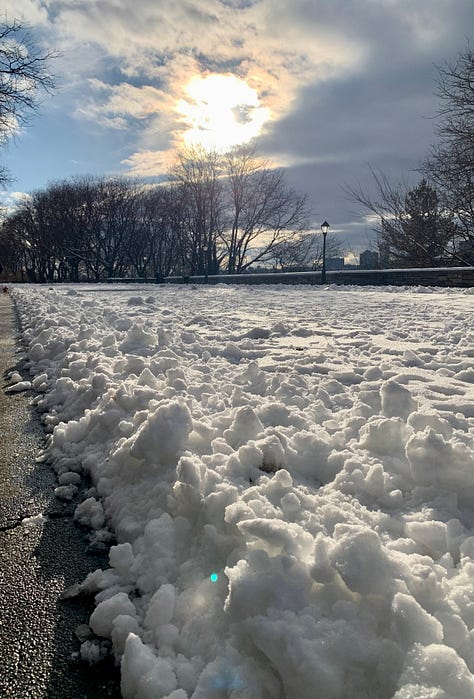 Vista del palcoscenico prima dell’inizio del musical. Due foto del parco ricoperto di neve.