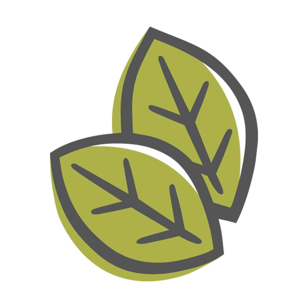 Pantry Pull with Reed