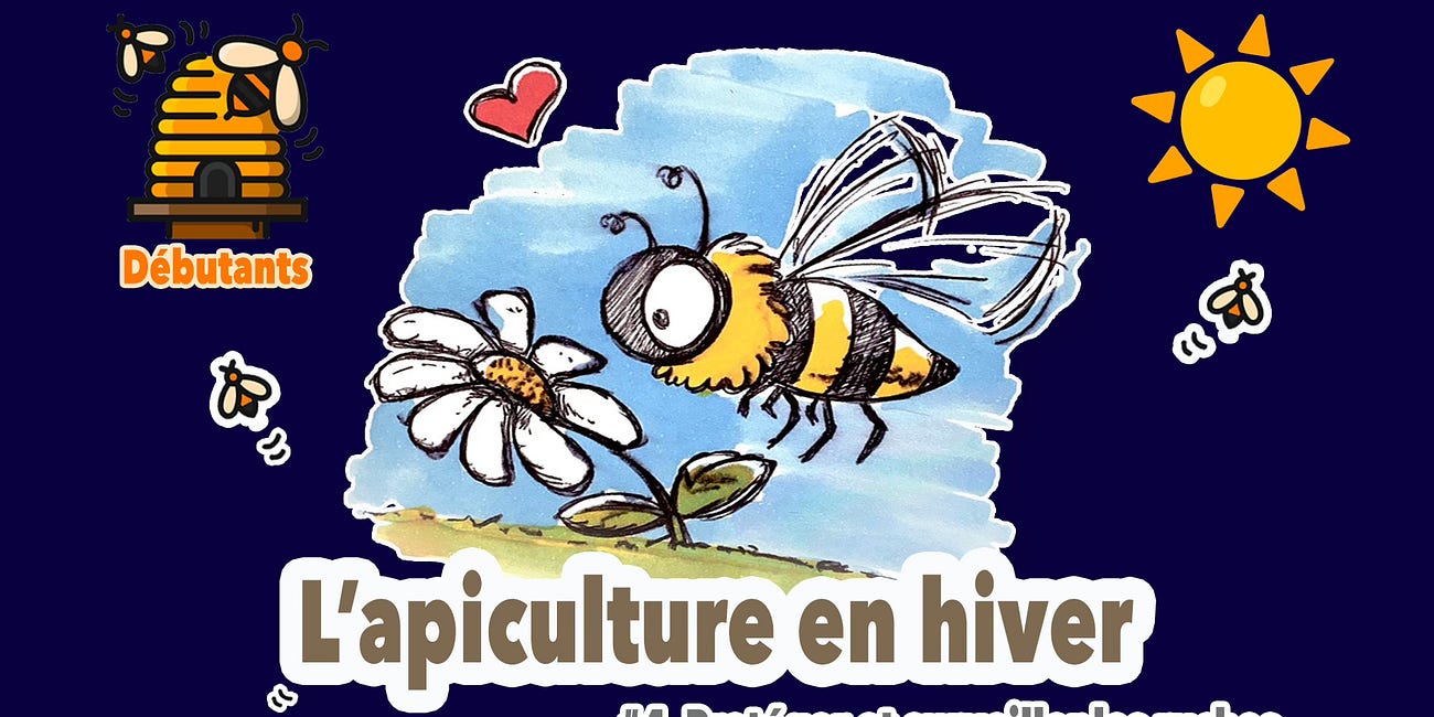 L’apiculture en hiver
