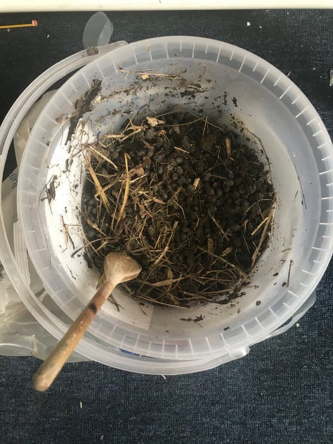 Paper making goat poo art craft -