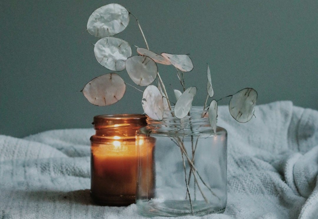 white flower on clear glass jar