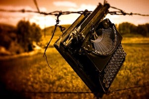 Caught in the Fence, by Neal Sanche