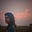 Soumya Anand's avatar