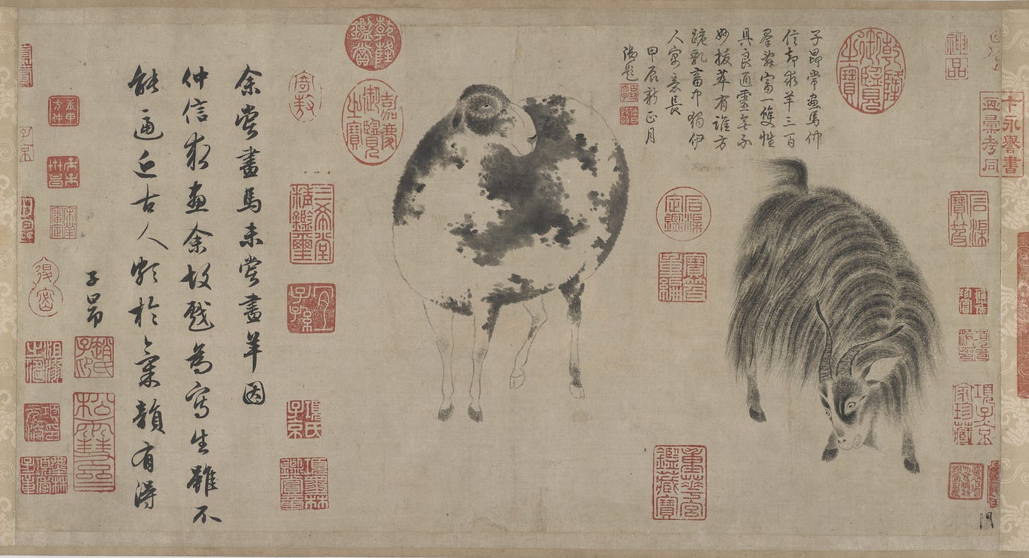 A Sheep and Goat, zoomed in