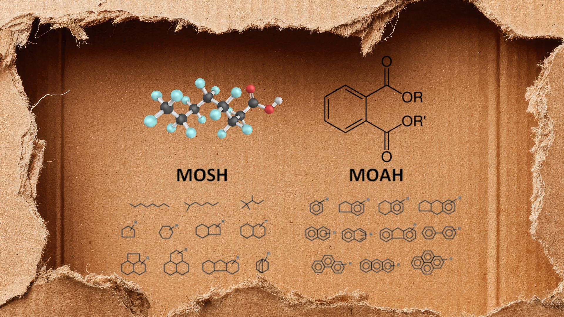 My Health Forward: Is cardboard safe in your soil?