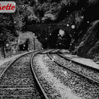 Otter Eats Fish Parfaits With Impeccable Table Manners! Tabs, Thurs., Feb. 15, 2024