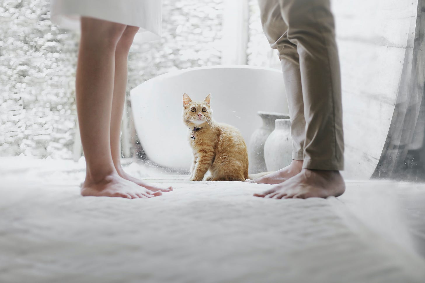 One of relationship expert John Gottman's 'four horsemen' indicating relationship doom is that of contempt--a nearly universal trait of domestic abusers. One of relationship expert John Gottman's 'four horsemen' indicating relationship doom is that of contempt--a nearly universal trait of domestic abusers.