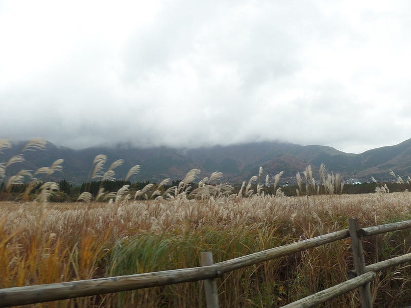 View of Hakone Fields View of Hakone Fields