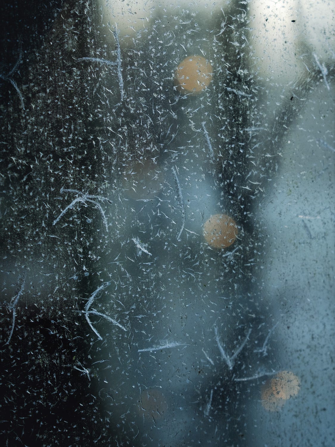 greenhouse windows frost