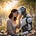Machines of Loving Grace's avatar