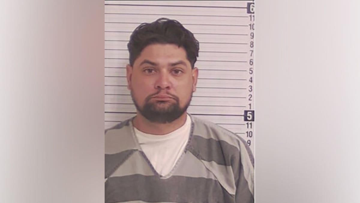 Florida illegal immigrant Luis Sanabria arrested after Deborah Murphy's death outside Publix Florida illegal immigrant Luis Sanabria arrested after Deborah Murphy's death outside Publix