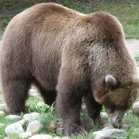 Change Is in the Air