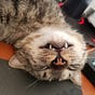 katmai's avatar