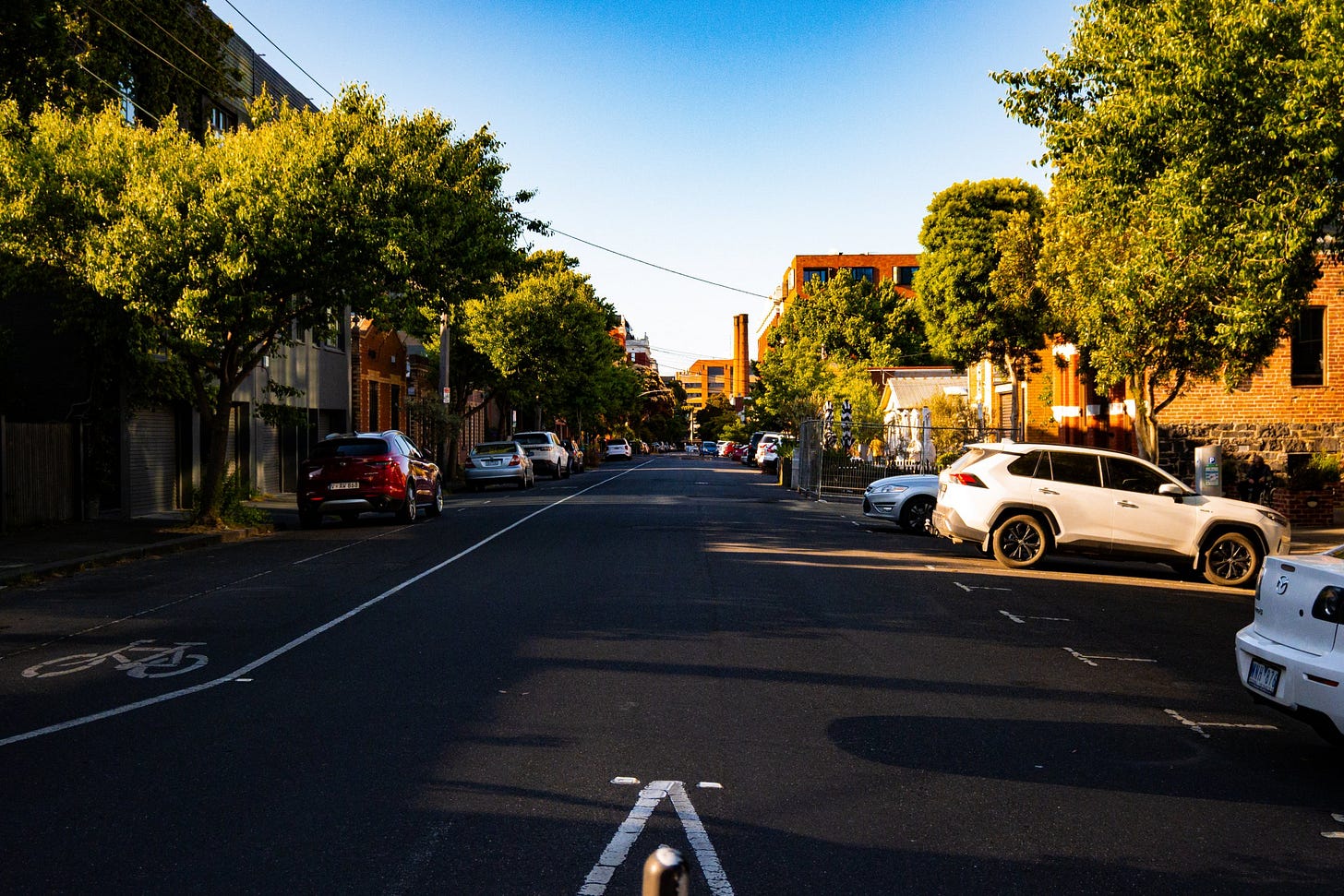City Street with Parked Cars and Trees City Street with Parked Cars and Trees