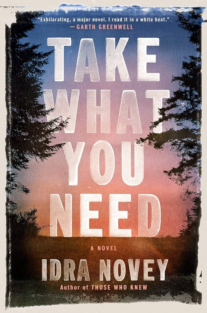 take what you need by idra novey