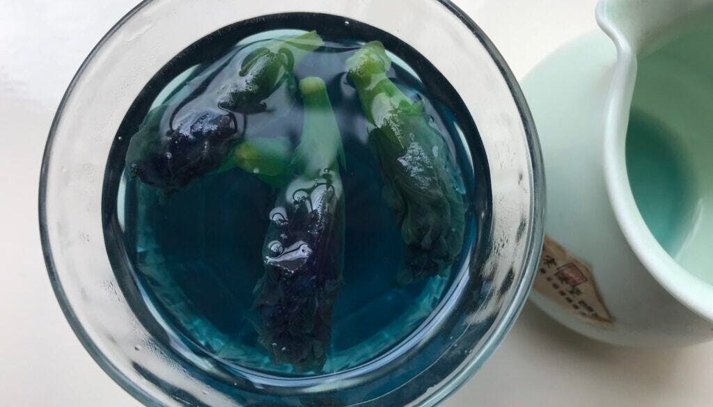 Butterfly pea flower food dye