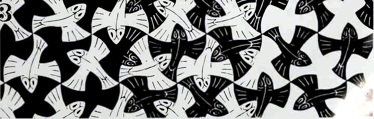 Flying fish spacer image
