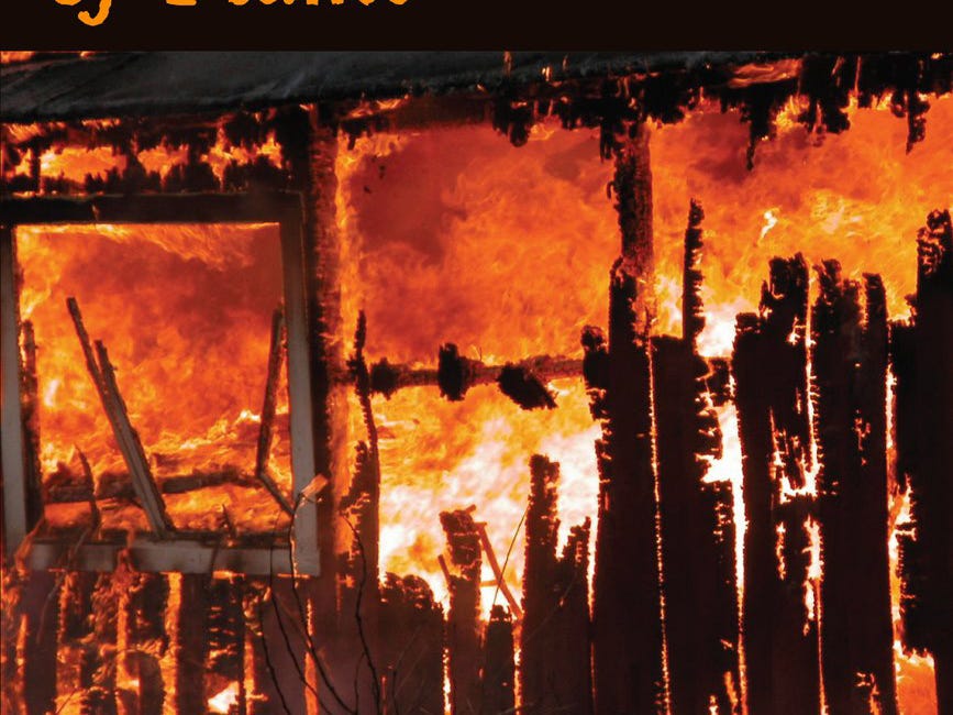 Three Million Acres of Flame by Valerie Sherrard