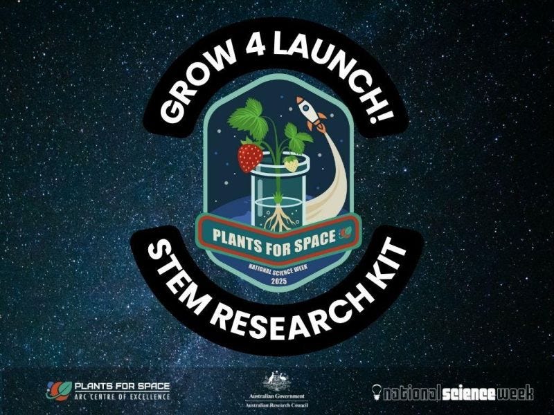 Grow 4 Launch! logo