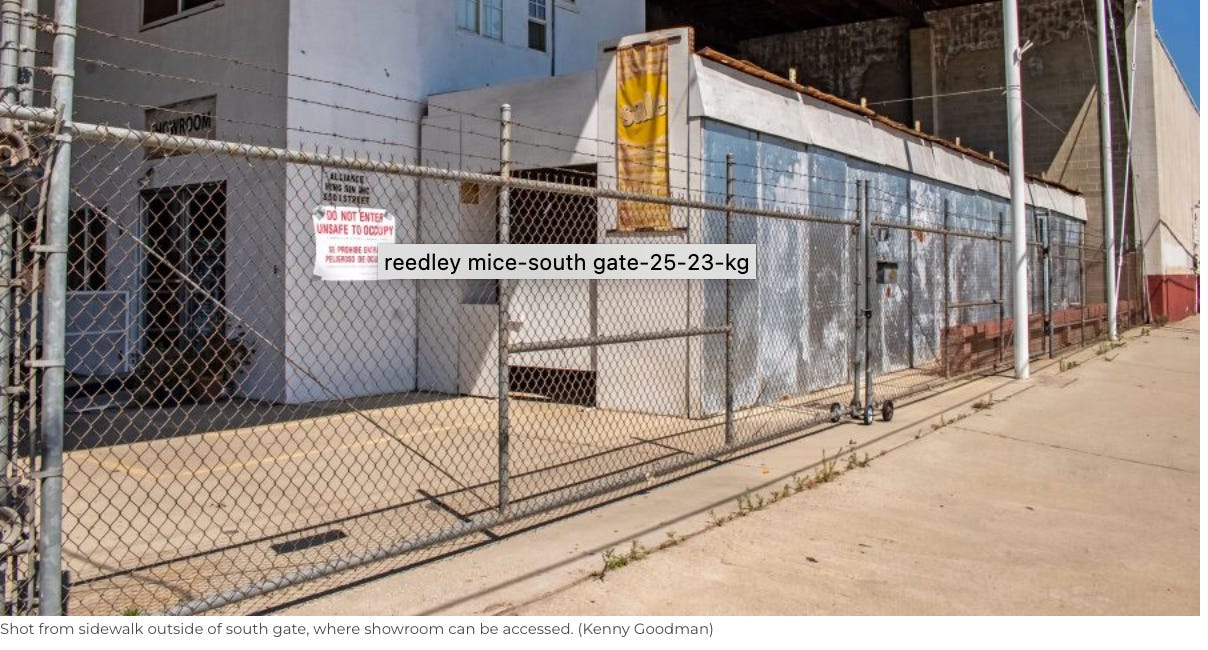 Illegal Infectious Chinese Laboratory Busted in Fresno County Reveals Mice that were Genetically Engineered to Carry and Catch COVID-19