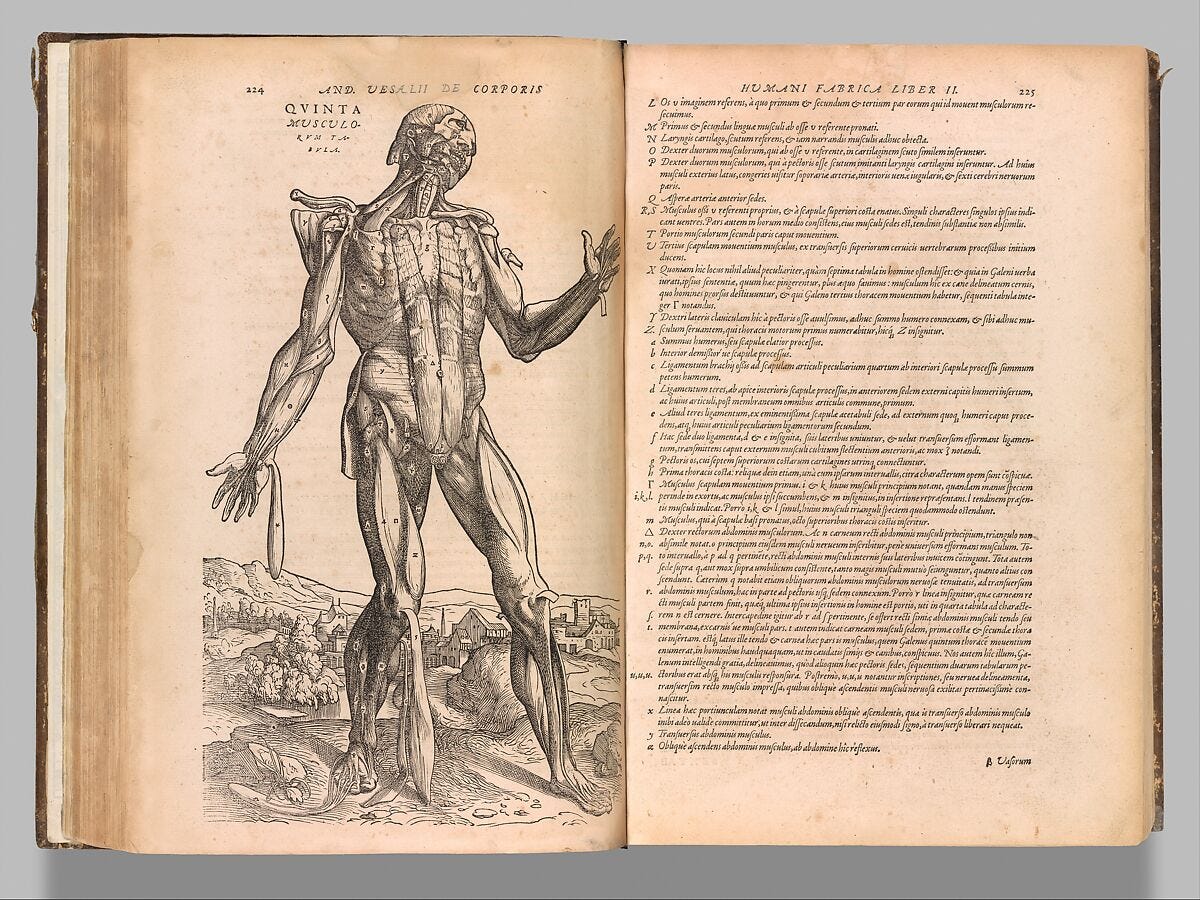 Open spread of Vesalius’s De humani corporis fabrica showing a full-page Renaissance woodcut of a flayed, muscular figure in a landscape on the left page and dense Latin text on the right.