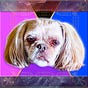 Warren Bellis's avatar