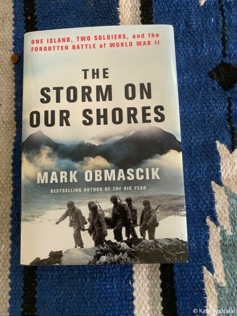 Book cover of 'The Storm on Our Shores' by Mark Obmascik.