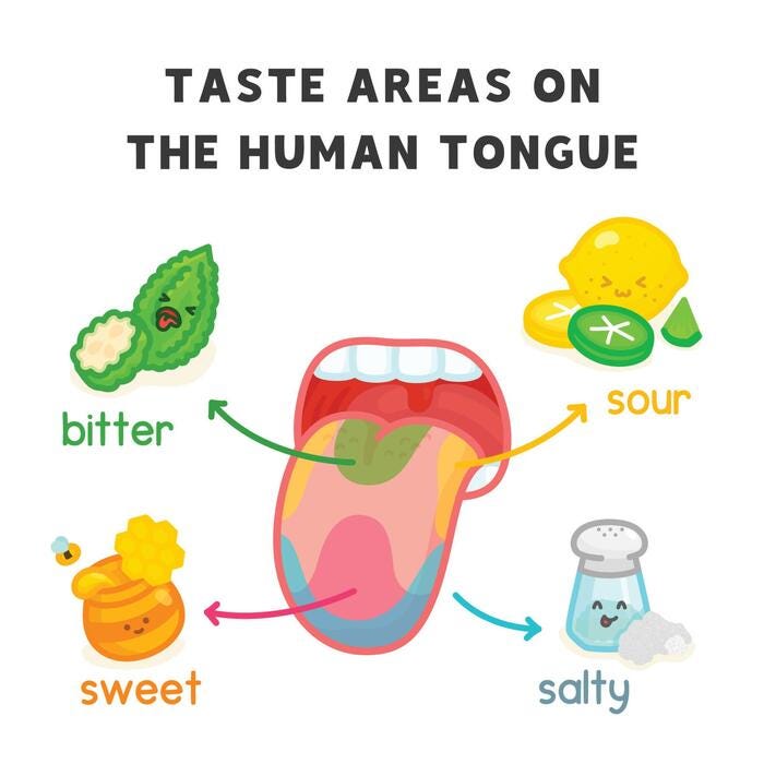 Feeling Stuffed? The Science of Digestive Bitters and Post-Meal Relief