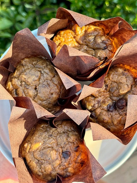 Pistachio protein pancake breakfast bowl, gluten-free chocolate chip banana walnut muffins, peanut butter cacao energy balls