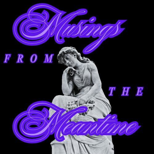 musings from the meantime