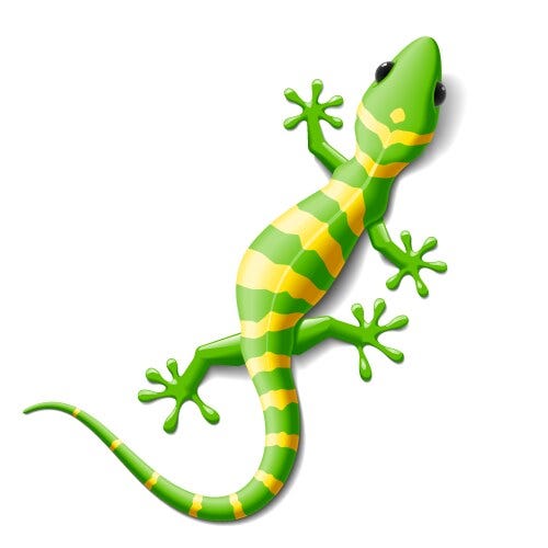Gecko1