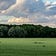 Ecotone Shift
