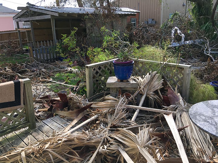 Photos of massive debris piles in my back yard: palm fronds, twisted metal, downed tree branches, and broken patio furniture.