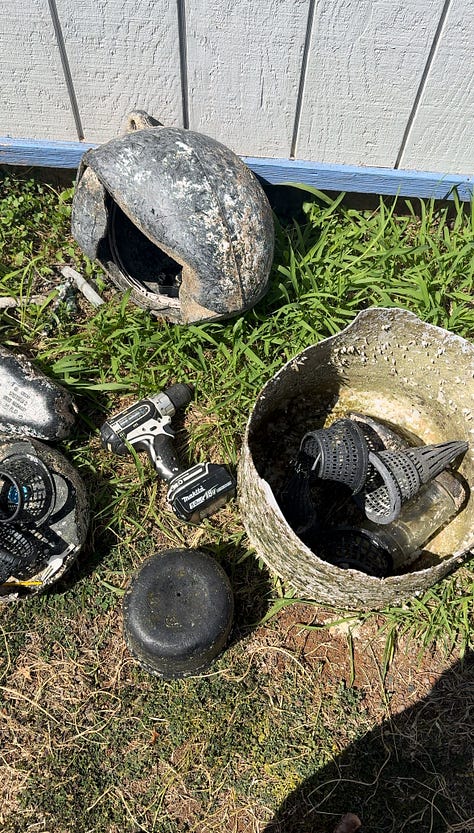 marine debris I have found walking along the beach. Large plastic bouys and plastic pieces and hagfish traps. broken plastic forks and straws in a pile of trash and some bottles and fishing nets and line laying in the sand