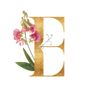 Behind the brush logo