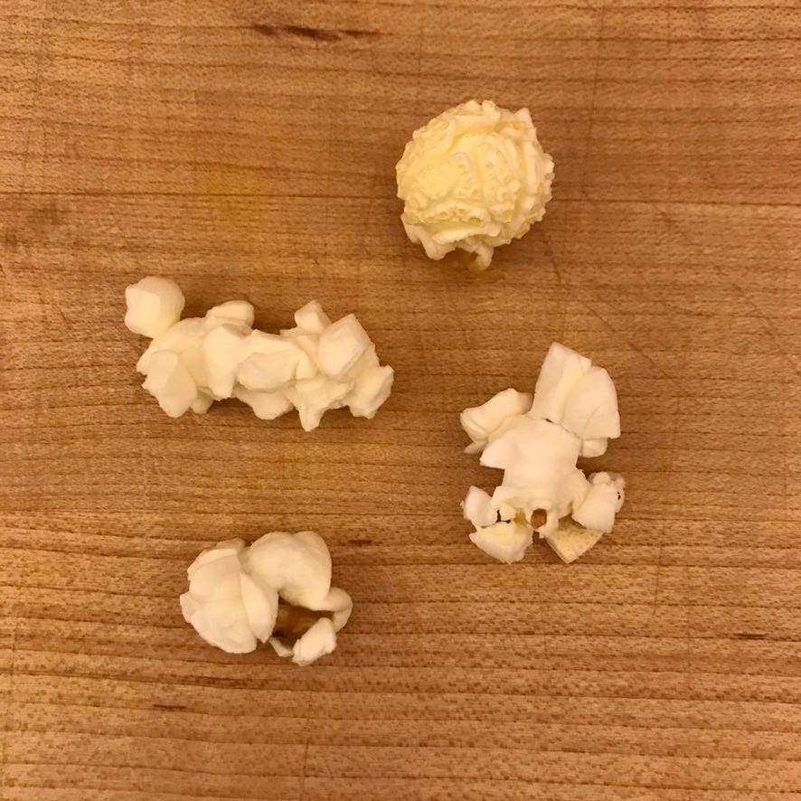 Popcorn Structure What determines the shape of popcorn? - by Nat Gingerich