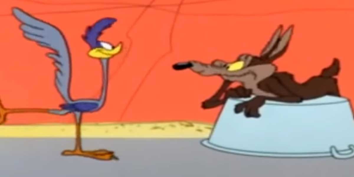 roadrunner e coyote