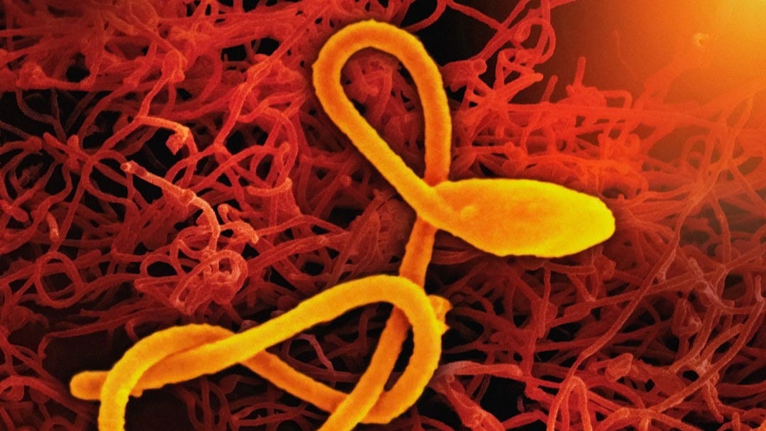 Breakthrough in Combat Against Sudan Ebolavirus: FDA Grants Orphan Drug Designation to Soligenix's SuVax™