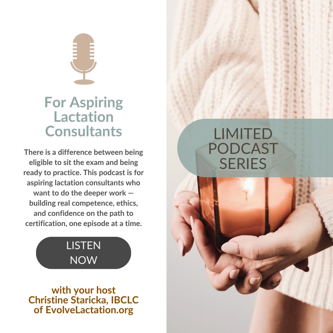 A Guide for the Emerging Lactation Consultant