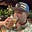 James Welham's avatar