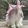Brynhildr's avatar