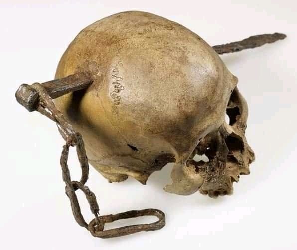 A Roman era skull found impaled with a large spike. Currently on display at  the Rheinischen Landesmuseum in Bonn, Germany. : r/interestingasfuck
