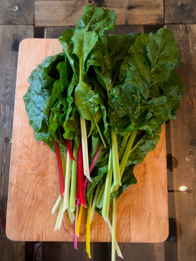 Swiss Chard May 18 2022