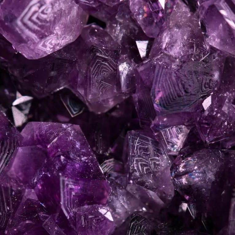 Grape Crush | Mairead Case