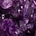Grape Crush | Mairead Case