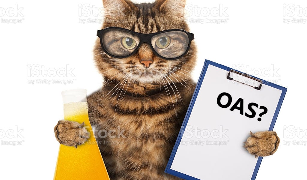 boriquagato.substack.com