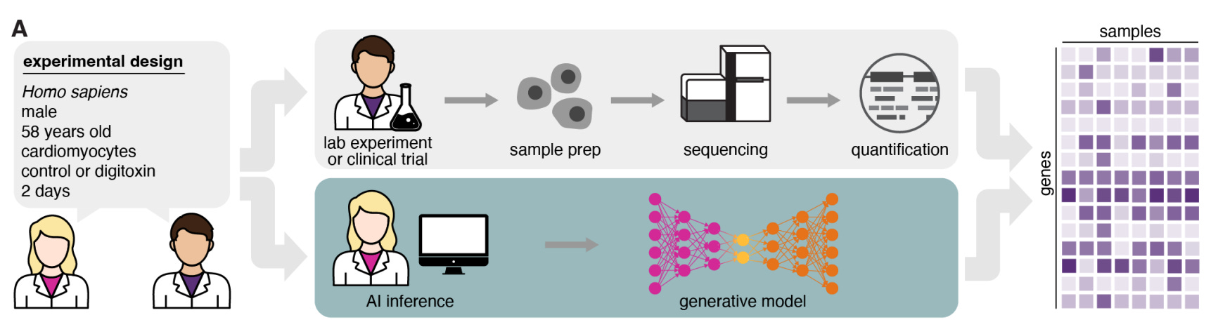 AI generation of gene expression data - Synthesize Bio