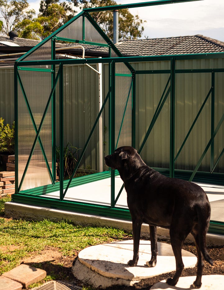 Greenhouse Australian garden