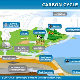 Time to Review the Carbon Cycle