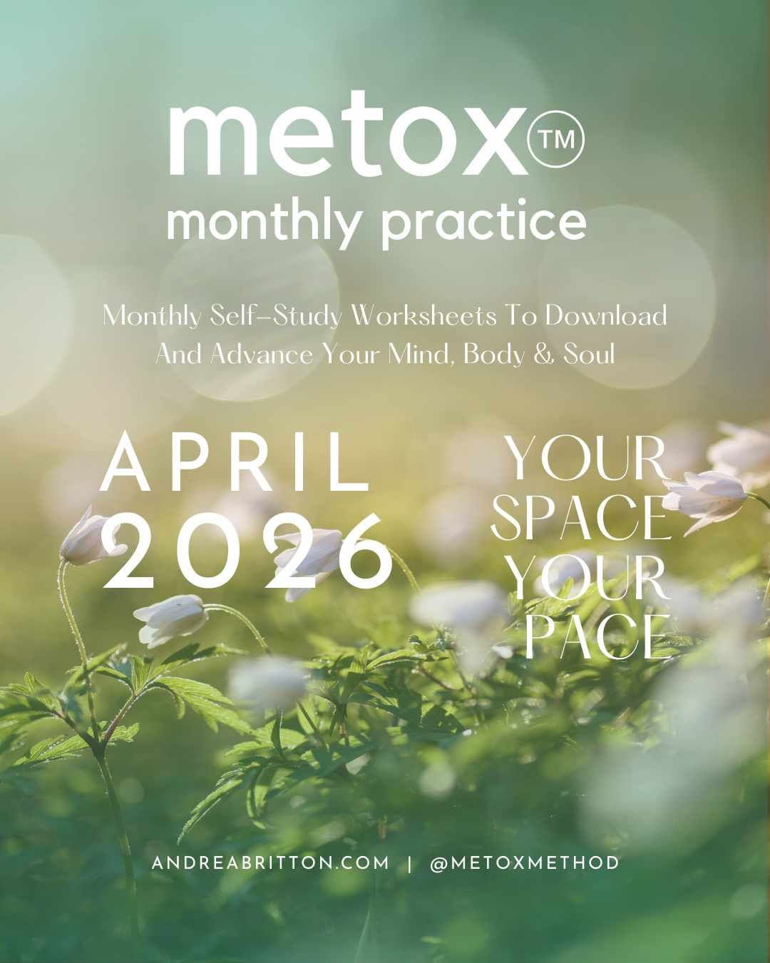 Metox Monthly Practice April 2026